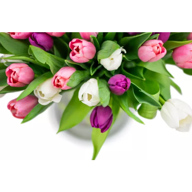 Kytice tulipánů